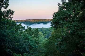 Forest with Valley Filled with Fog at Sunrise