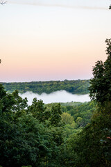 Obraz premium Forest with Valley Filled with Fog at Sunrise