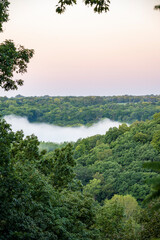 Obraz premium Forest with Valley Filled with Fog at Sunrise