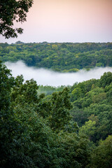 Forest with Valley Filled with Fog at Sunrise
