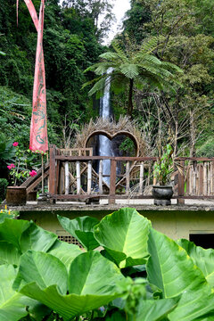 Gitgit waterfall and surroundings, in Buleleng regency of Bali - Indonesia