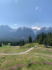 alpine meadow in the mountains