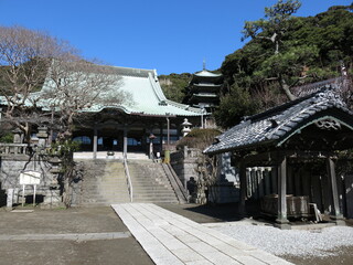 藤沢市の龍口寺（大本堂・五重塔）