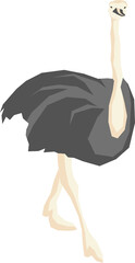 Ostrich cartoon illustration