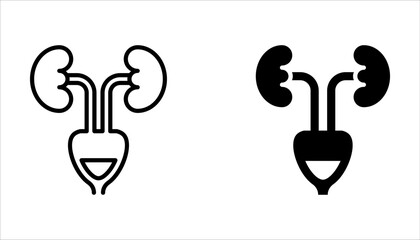 Urinary Bladder Icon. Line Vector Illustration of Bladder Filled with Urine on white background