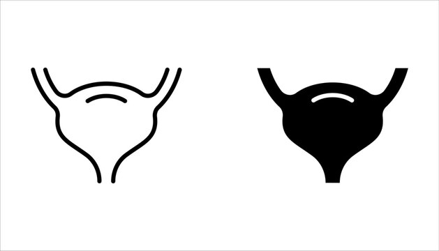 Urinary Bladder Icon. Line Vector Illustration of Bladder Filled with Urine on white background