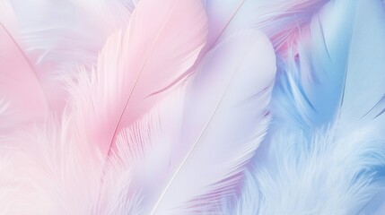Obraz premium Closeup view of beautiful pastel-colored feathers in soft pink, baby blue, and white colors 
