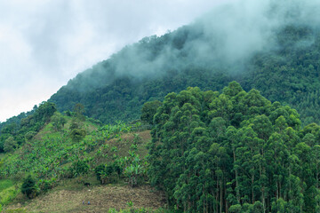 Beautiful landscape in the Andes Mountains. Clouds. Jardin, Jardín, Antioquia, Colombia.