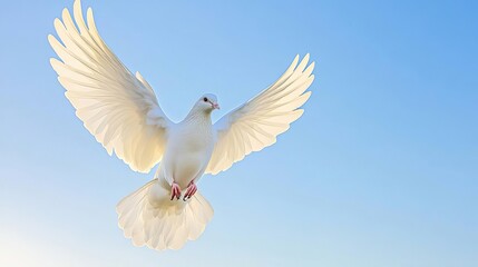 Fototapeta premium A white dove taking flight against a clear blue sky, symbolizing peace and new beginnings, wideangle shot, soft focus, natural light, serene mood