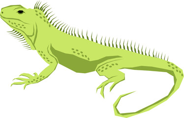 Iguana cartoon illustration