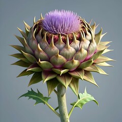 Fototapeta premium A stunning 3D illustration of a Cardoon flower in full bloom. capturing its intricate details and vibrant colors.