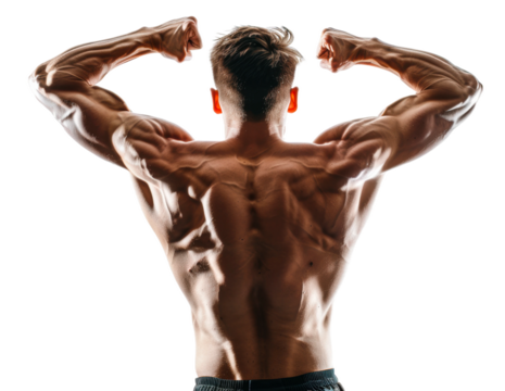 Muscular man flexing his back muscles isolated on transparent background