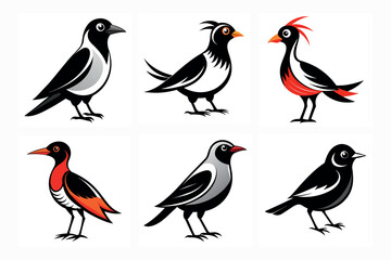 Creative Bird Vector Art Illustration