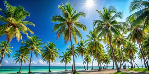 Fototapeta premium Tropical paradise with palm trees against a clear blue sky