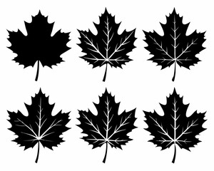 Maple leaf black Silhouette Set art vector,maple leaf, black silhouette and outline. Vector illustration