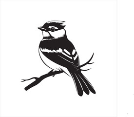 lack  Blue jay Silhouette Vector on Whit Background