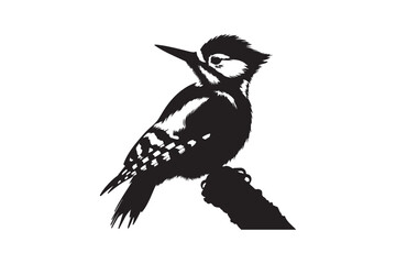 Wood pecker vector art and illustration