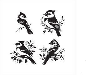 lack  Blue jay Silhouette Vector on Whit Background