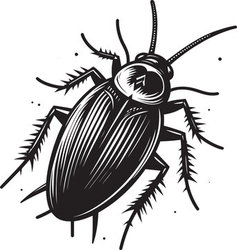 black cockroach insect detailed view clip art preview
