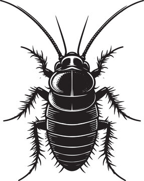 Cockroach clip art preview