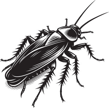 black cockroach insect detailed drawing clip art preview