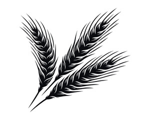 Wheat ears Vector isolated on a white background, A Wheat grain silhouette vector  © DesignRacing