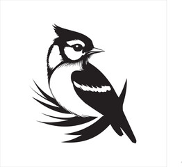 lack  Blue jay Silhouette Vector on Whit Background