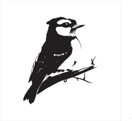 lack  Blue jay Silhouette Vector on Whit Background