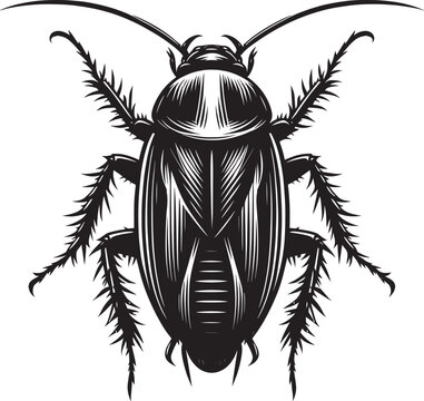 black cockroach insect detailed view clip art preview