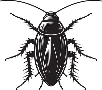 black cockroach insect detailed view clip art preview