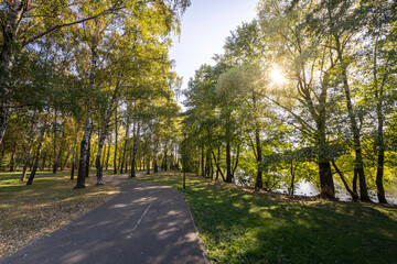 A park with a path and trees