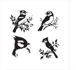 lack  Blue jay Silhouette Vector on Whit Background