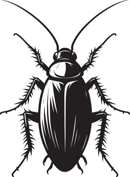 black cockroach insect detailed view clip art preview