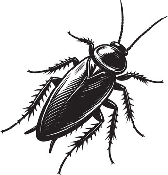 Cockroach clip art preview