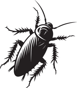 black cockroach insect isolated clip art preview