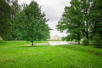 spring in the park