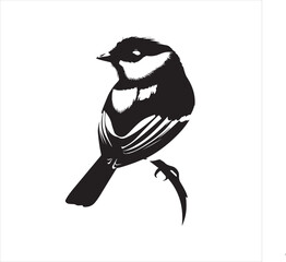 lack  Blue jay Silhouette Vector on Whit Background