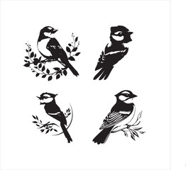 lack  Blue jay Silhouette Vector on Whit Background