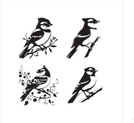 lack  Blue jay Silhouette Vector on Whit Background