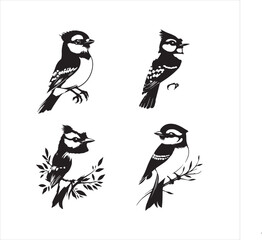 lack  Blue jay Silhouette Vector on Whit Background