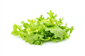 Fototapeta premium Isolated green arugula leaf against a white backdrop