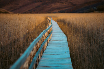 Fototapeta premium Old wooden boardwalk with a railing on the side and watchtower in the Sic reed reservation, Cluj , Romania