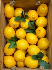 Lemons
