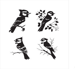 bird, vector, branch, animal, illustration, nature, tree, birds, silhouette, design, art, winter, cute, wildlife, cartoon, crow, beak, black, flower, spring, bullfinch, drawing, leaf, wing, wild