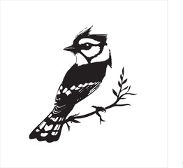 bird, vector, branch, animal, illustration, nature, tree, birds, silhouette, design, art, winter, cute, wildlife, cartoon, crow, beak, black, flower, spring, bullfinch, drawing, leaf, wing, wild