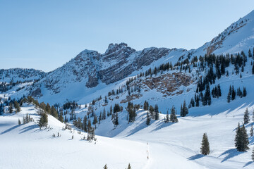 Back country terrain at Alta Ski Resort, Alta, UT, USA, February 4, 2023