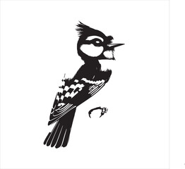 bird, vector, branch, animal, illustration, nature, tree, birds, silhouette, design, art, winter, cute, wildlife, cartoon, crow, beak, black, flower, spring, bullfinch, drawing, leaf, wing, wild
