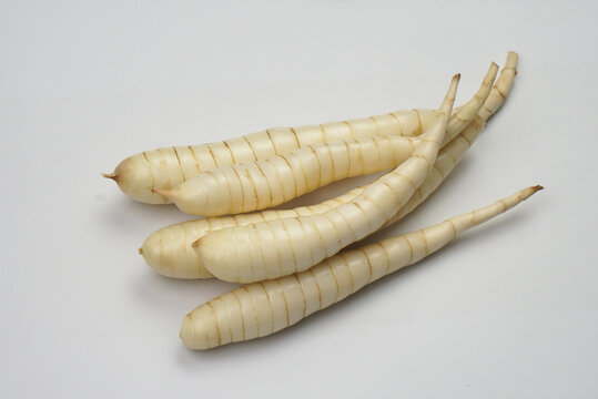Arrow Root