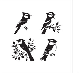 bird, vector, branch, animal, illustration, nature, tree, birds, silhouette, design, art, winter, cute, wildlife, cartoon, crow, beak, black, flower, spring, bullfinch, drawing, leaf, wing, wild