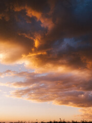 Obraz premium sunset in the sky